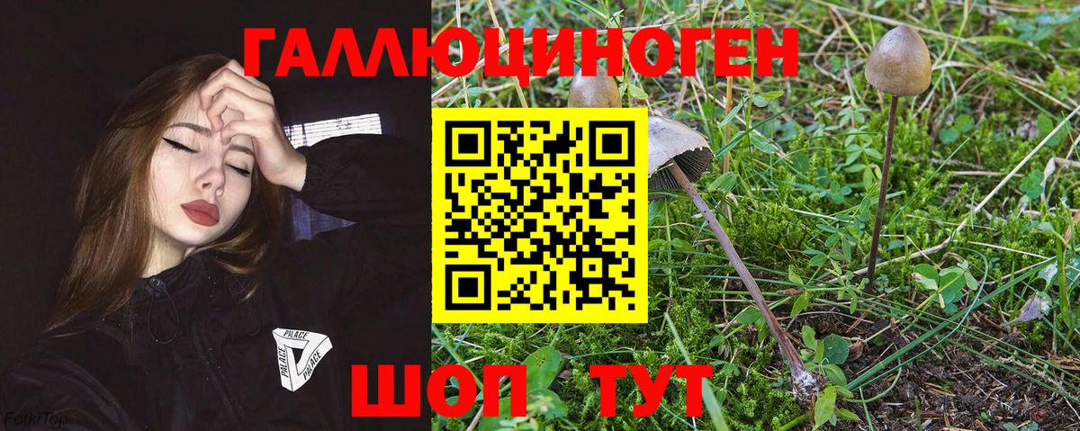 Псилоцибиновые грибы ЛСД  Вход с VPN  Новоалтайск 